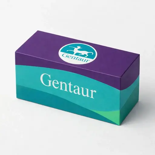 Chlamydien Schnelltest Kassetten-Kit – 25T/Kit